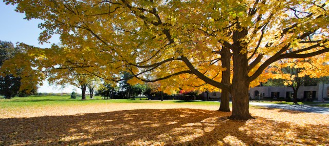 The 150 Small Private Colleges with the Least Average Student Debt Per Borrower