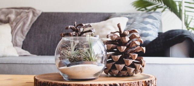 Home Ownership for People With Disabilities