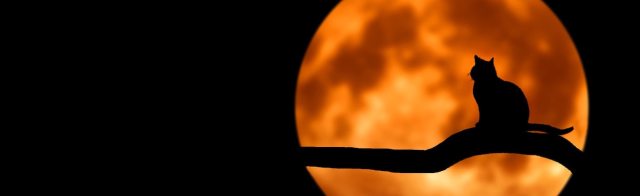 Trick or Treat: How Much Does the Average American Spend on Halloween?