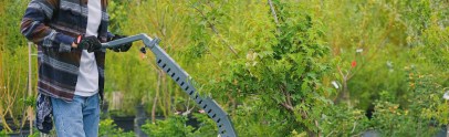 How to Finance Landscaping Projects With Loans [2024 Rates and Lenders]