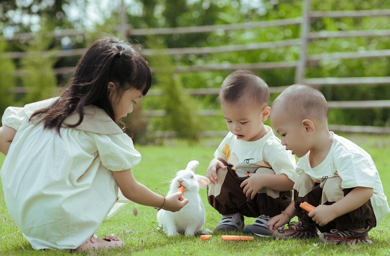 10 Best Long-Term Savings Accounts to Set Up for Your Children in 2026